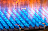 Gogar gas fired boilers